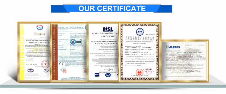 ASME B16.5 Bleed Socket Weld Drip Ring Flange For Mounting 12inch