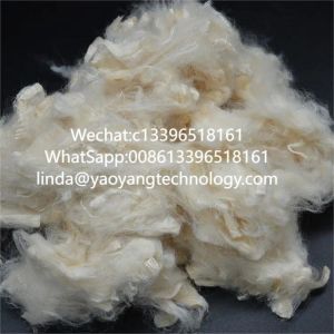 China Organic Soybean Protein Fiber Renewable Soy Bean Fiber Sustainable on sale