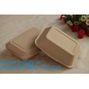 biodegradable sugarcane food container 6inch 450ml to-go burger box,Eco-friendly