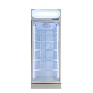 Icecream / Meat Display Commercial Upright Glass Freezer Plug In