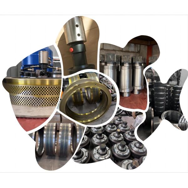 Customized Voltage Biomass Pellet Machine For Sustainable Energy Production Ring Die Pellet Machine