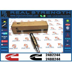 High Quality Fuel Injector 2482244 diesel Engine Injector 2086663 Brand New