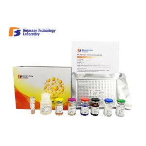 Quality High Density Mouse ELISA Kit Sandwich Test Method For Research ISO Standard for sale