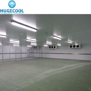 10 Customized Seafood Coldroom for Frozen Meat Storage Cooling Method Air