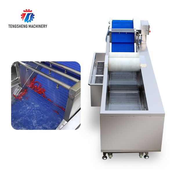 250KG The manufacturer provides a reversible air dryer for fruit ozone