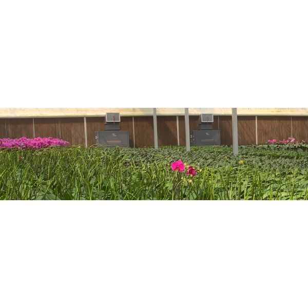 Water Sprayer Controlled Illuminating Planting Greenhouse