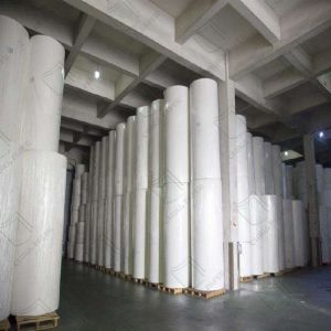 Wholesale 55GSM-120GSM Uncoated/Bond /Woodfree Cream Offset Paper