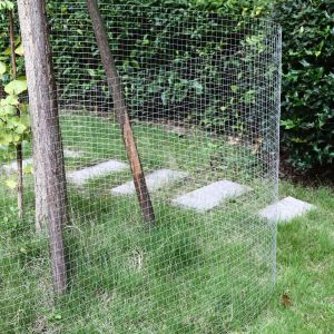 0.9mx50m Chicken Mesh Fence