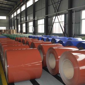 Quality SGCD SPCC DX51D PPGI PPGL Prepainted Galvanized Steel Coils 508mm 610mm for sale