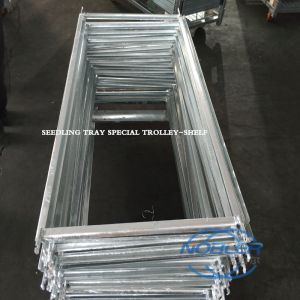 Removable Side Frame Danish Trolley Shelves Professional Flexible Design