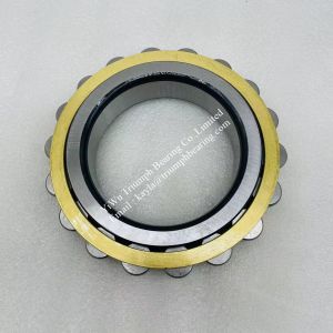 TMB Cylindrical Roller Bearings RN219M