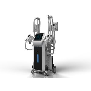 CE TGA certification high efficient fat removal body shaping cryolipolysis