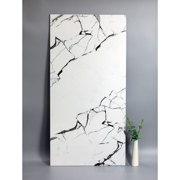 Buy 60x120cm White Matt Marble Porcelain Floor Tile Modern House Bathroom Wall And Floor Tile at wholesale prices