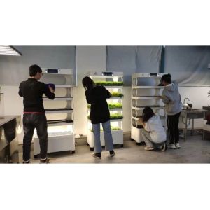 Home Intellect Vegetable Machine And Multi Layer Vertical Intelligent Planter