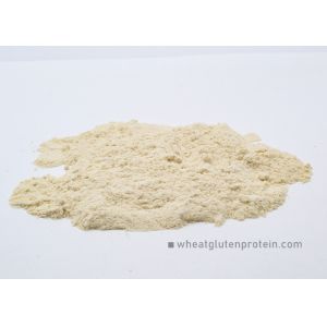 Natural Additive Dumpling 82.2% Vital Wheat Gluten