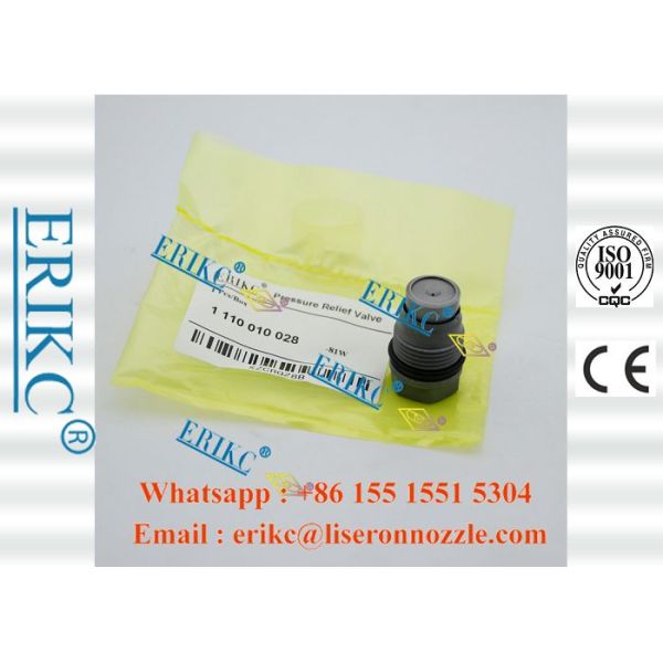 5317174 Bosch Cummins Fuel Rail Pressure Relief Valve 1110010028 4047024016019