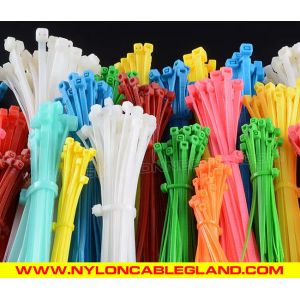 Quality Adjustable Plastic Cable Ties 80-1020mm Length, Self-locking Versatile Cable Zip Ties 2.5-12mm Width for Wire Harness for sale