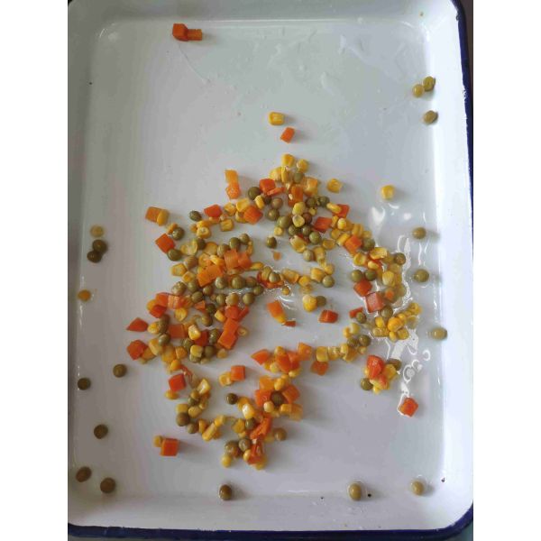 Buy HACCP Soft Taste 567g Canned Mixed Vegetables For Eat at wholesale prices