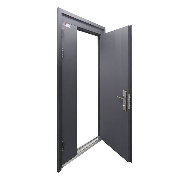 Modern Custom Steel Security Door with Custom Pattern Manual Open for Homes