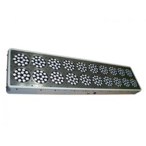 Quality Magnum Plus 900W Apollo LED Grow Light Apollo 20 300*3W LED Grow Light Full Spectrum for for sale