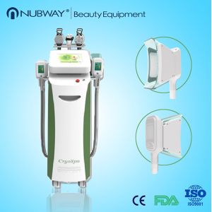 Cryolipolysis weight loss and body shaping equipment