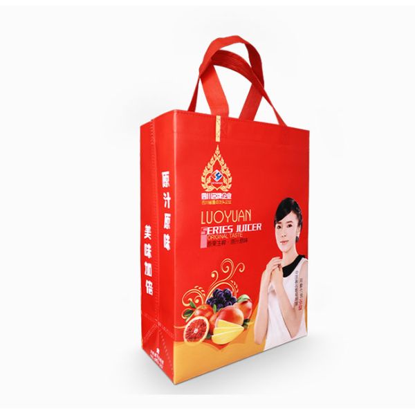 Printed Polypropylene Promotional Non Woven Shopping Bags Foldable Reusable