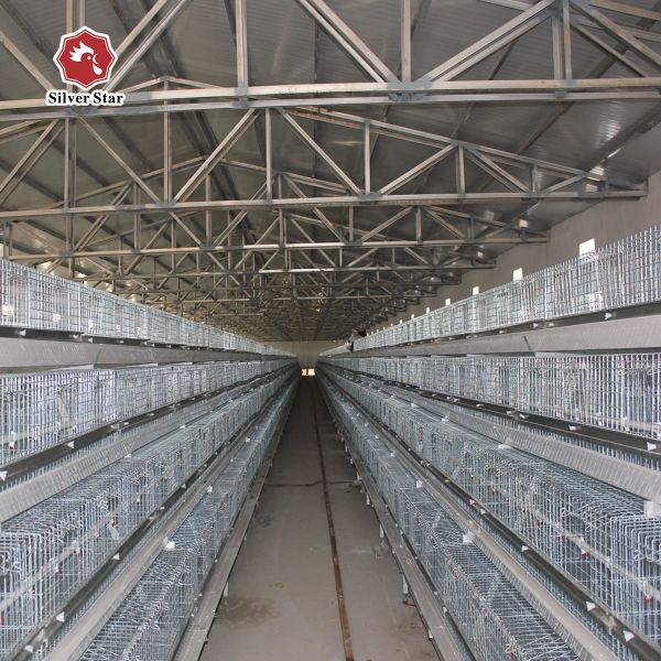 Buy A Type Q235 Steel Baby Chicken Cage Hot Galvanized wire mesh at wholesale prices