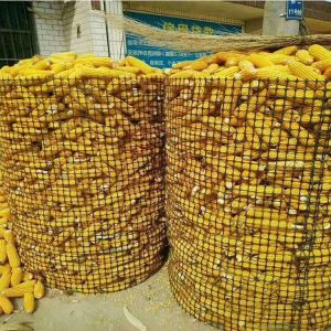 Black Bidirectional Geogrid Plastic Net for Chicken and Duck Enclosure in