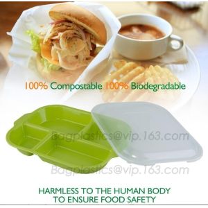 5 Compartment Lunch Box Disposable Plastic Food Container, biodegradable Fast