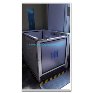 Disabled Lift for Elder/Handicapped Wheelchair Lifts for Stairs Factories