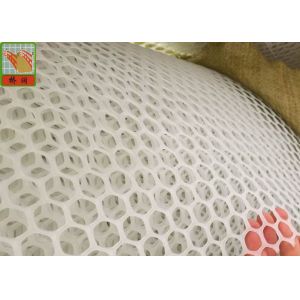 Hexagonal Plaining 13mm Extruded Plastic Netting