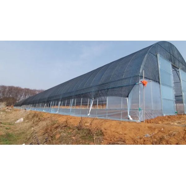 Four Seasons Plastic Film Greenhouse For Temperature Variations Anti Aging UV Resistant