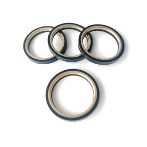 Industrial Hammer Union Seal / Oil Lip Seal With Brass Backed Rings