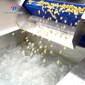 Streamline Your Manufacturing Process with Our Advanced Fruit And Vegetable