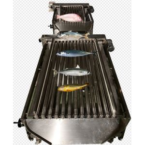 Professional Fish Automatic Grading Line And Sizing Other Small Fish