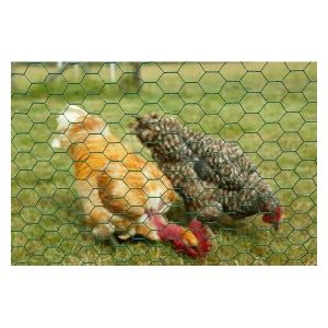 Quality hexagonal wire netting,Chicken Wire Mesh,Galvanized Hexagonal Wire Netting for sale