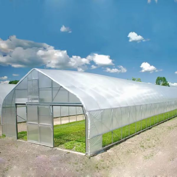 Single-Span Sawtooth Design Tropical Plastic Film Greenhouse Tunnel Customized for Vegetable Growing