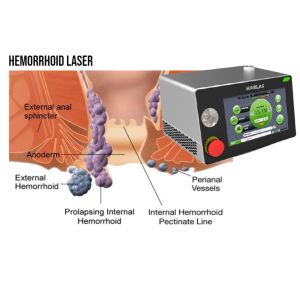 China Dual Wavelength Medical Diode Laser on sale