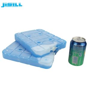 High Performance Large Cooler Ice Packs 1000g Weight For Frozen Food