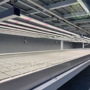 Hot Galvanized Steel Pipes Multi Span Greenhouse Light Dep For Growing Marijuana