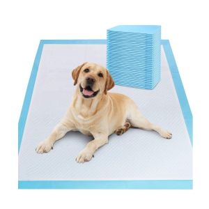 Freely Offered Samples OEM/ODM Pet Toilet Pee Pads for Puppy Training and Sleeping