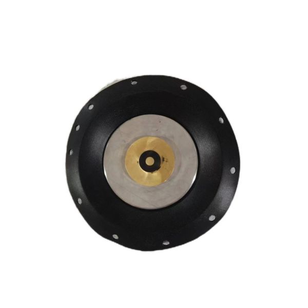 Stainless Steel Diaphragm Solenoid Valve 10 Bar Pressure Resistance Thread