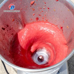 juicer fruit juice orange juice Tomato juice apple juice celery juice Celery