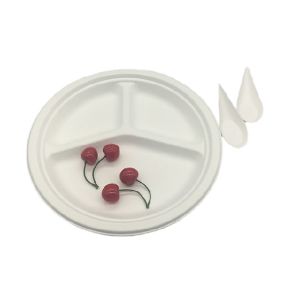 China 9 Inch 16g 100% Biodegradable Sugarcane Bagasse Plates on sale