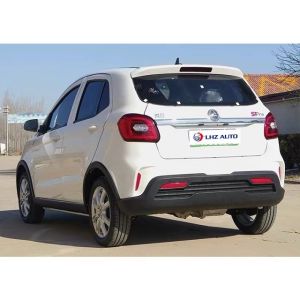 s Top-Selling Four-Wheel Electric Vehicles Max Speed 60 Km/h 100% Electric Car