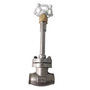 Low Temperature DN40 CF8 304 Stainless Steel Stop Valve