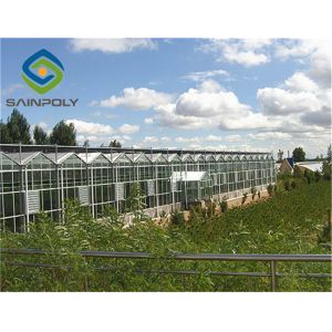 10.8m Cucumber Glass Greenhouse Intelligent Automatic Control