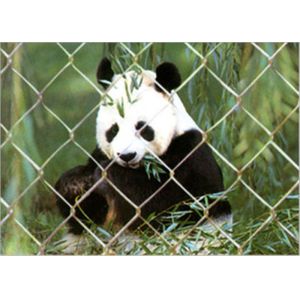 Durable Stainless Steel Zoo Mesh , Stainless Steel Zoo Fencing Materials