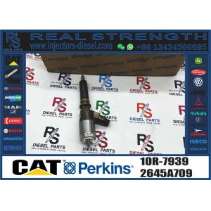 Common Rail Injector Assy 10R-7939 2645A718 10R-7673 10R-7676 2645A734 10R-7674