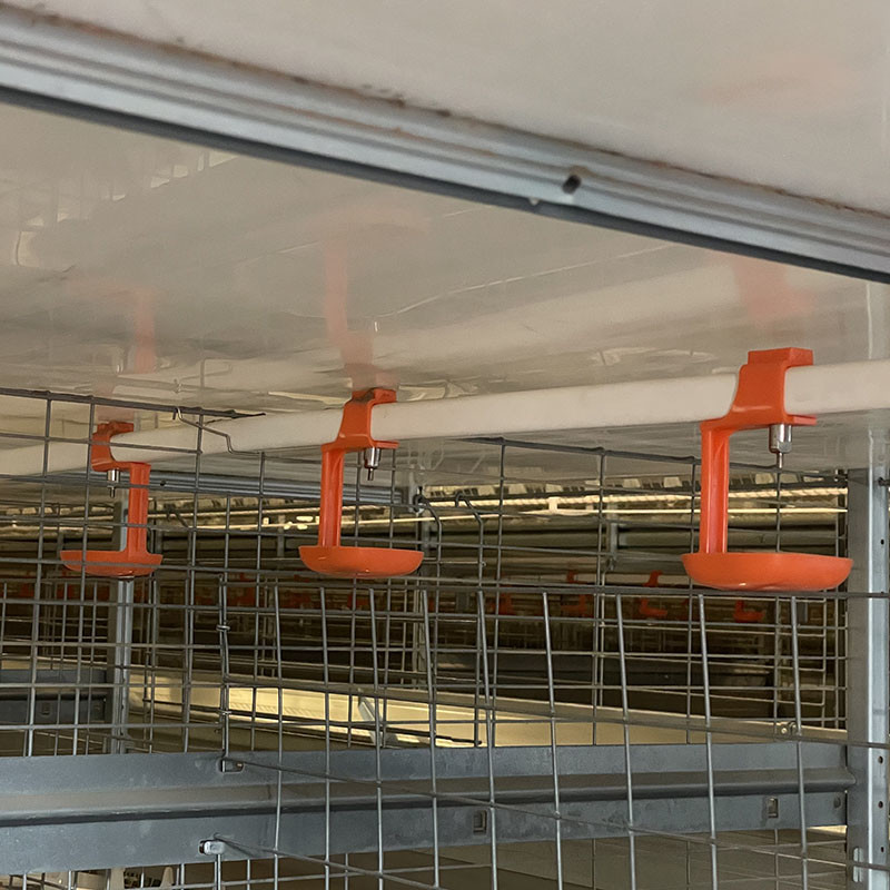 24.5in Width Egg Laying Chicken Cage 10 Birds / Cage Hopper Feeding